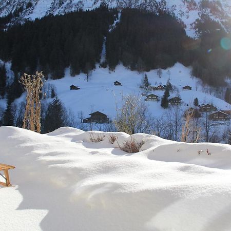 Chalet Pfingsteggblick Grindelwald Esterno foto