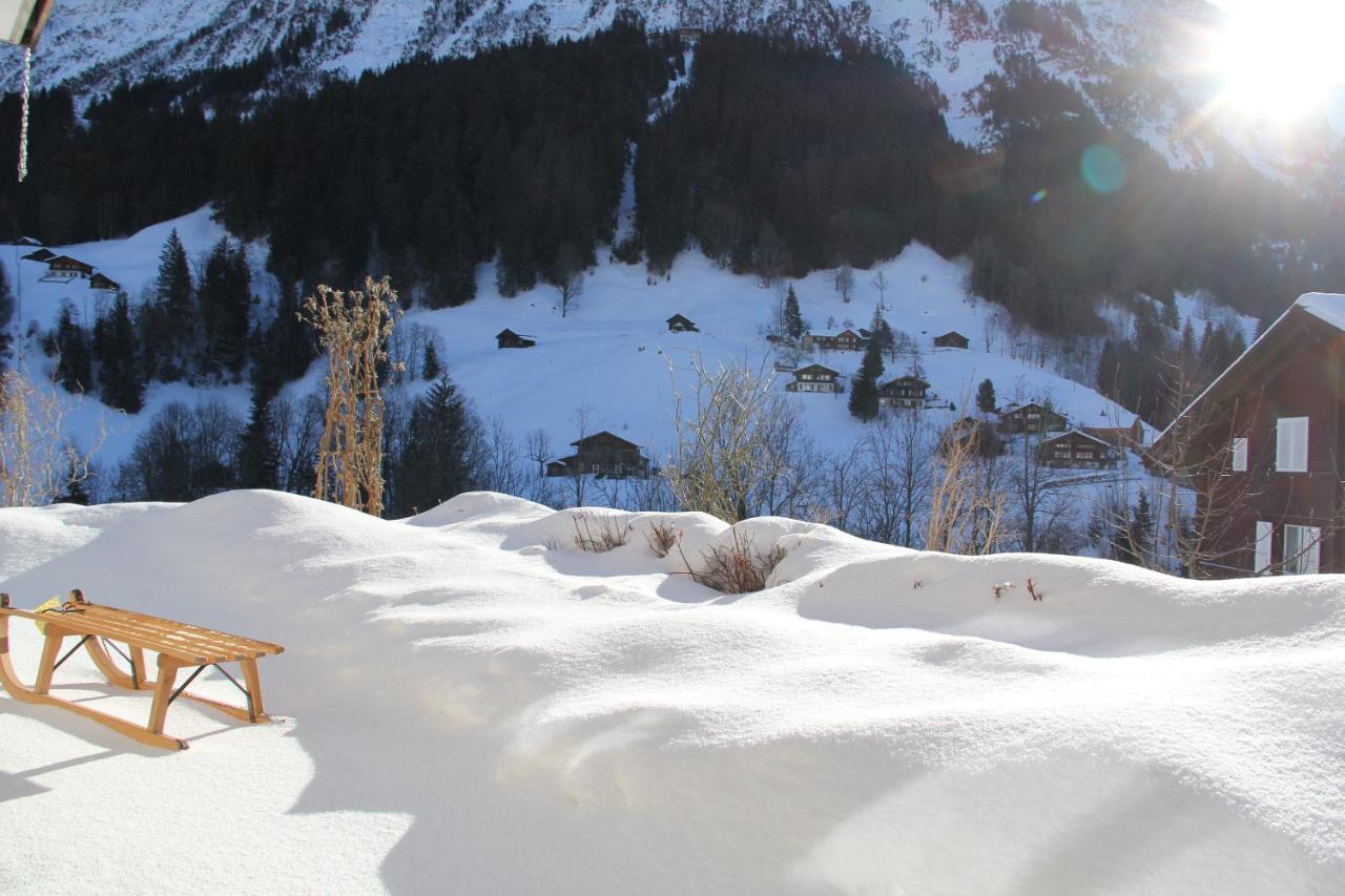 Chalet Pfingsteggblick Grindelwald Esterno foto