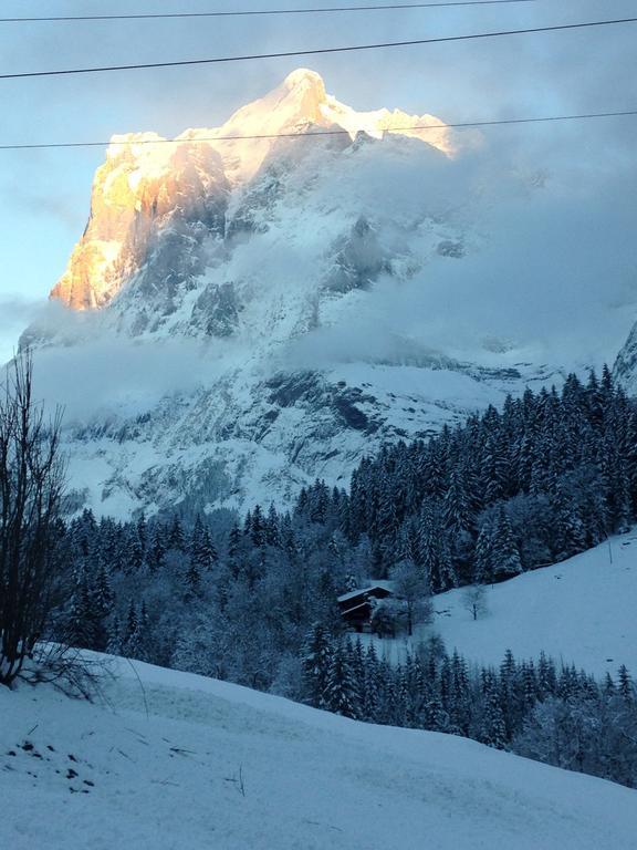 Chalet Pfingsteggblick Grindelwald Esterno foto