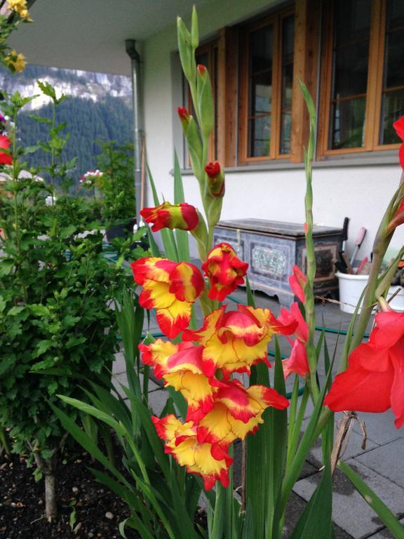 Chalet Pfingsteggblick Grindelwald Esterno foto