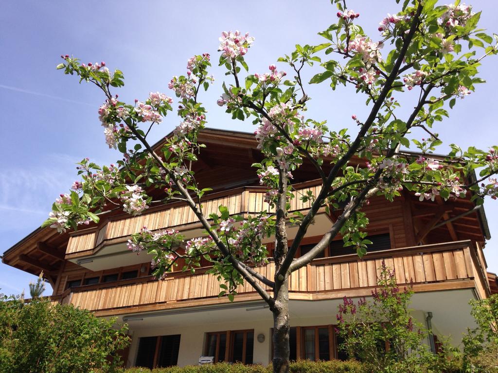 Chalet Pfingsteggblick Grindelwald Esterno foto